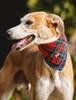 Irish Heritage Tartan Doggy Bandana - Red