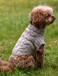 Aran Cable & Diamond Dog Sweater - Oatmeal