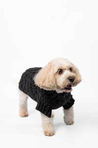 Aran Cable & Diamond Dog Sweater - Charcoal