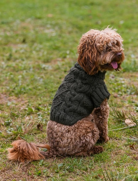 Aran Cable & Diamond Dog Sweater - Army Green