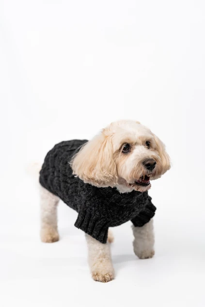 Aran Cable & Diamond Dog Sweater - Charcoal