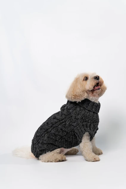 Aran Cable & Diamond Dog Sweater - Charcoal