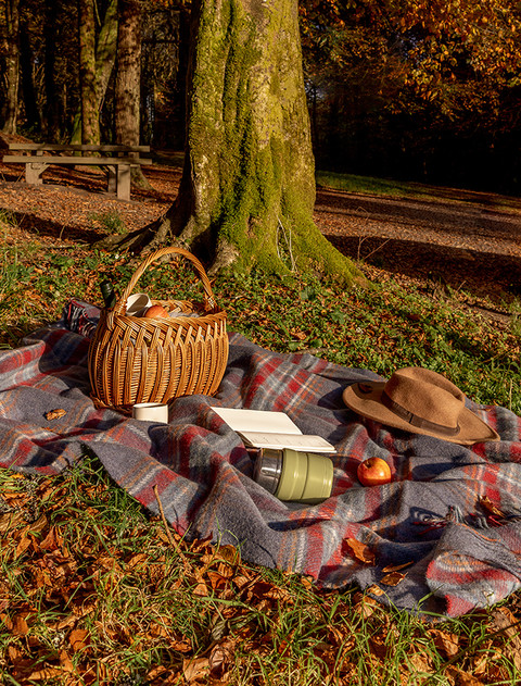 Irish Wool Picnic Throw - Denim Red & Rust