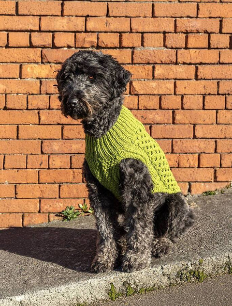 Madra Dog Jacket Knitting Kit
