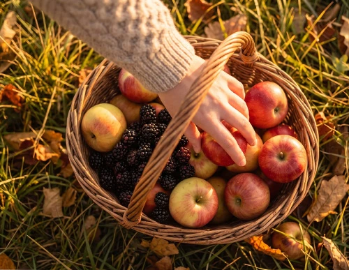 Fómhar ar Inis Mór: The Season Aran Awakes