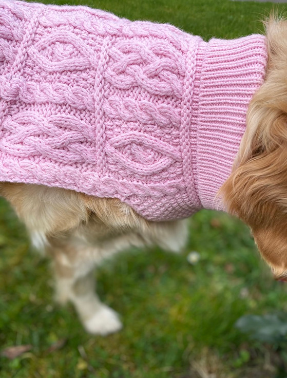 aran dog jumper pattern