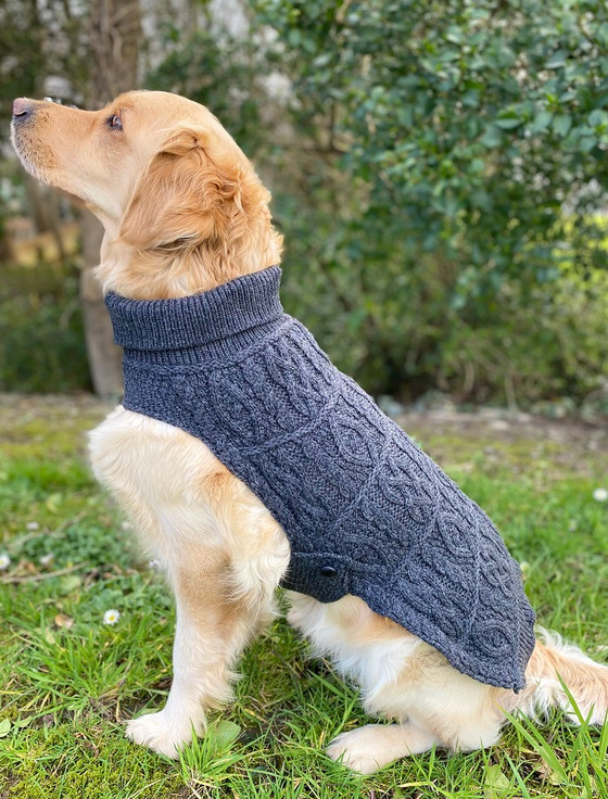 irish sweater for dogs