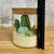 Handmade Three Wick Cactus and Succulent Candle Soy Terrarium