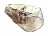 Turn Signal Lens, Right, Clear, Each, Fits VW Type 1 Bug 70-79, EMPI 98-9520-B