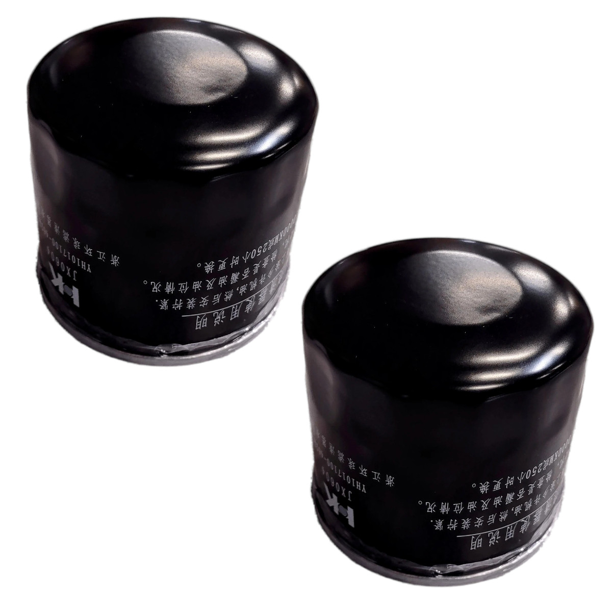 2-Pack Motorcycle Oil Filters TC09-113-05922 ZS462 HF204 for CSC RE3 SG400