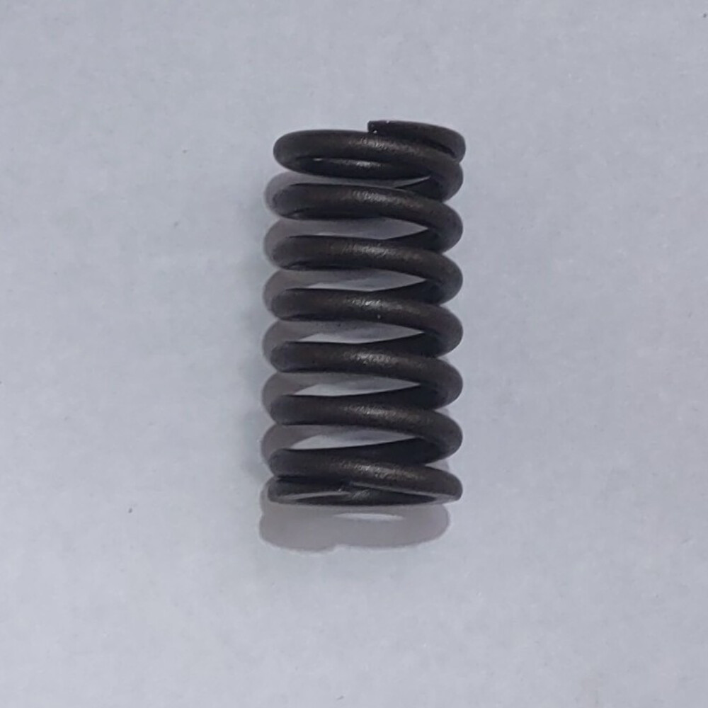 Inner Valve Spring for CSC TT250 SG250 250cc