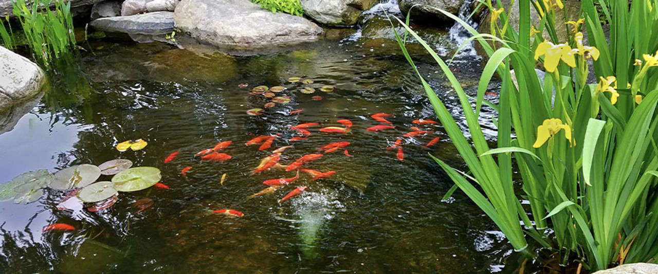 Water Garden Aeration