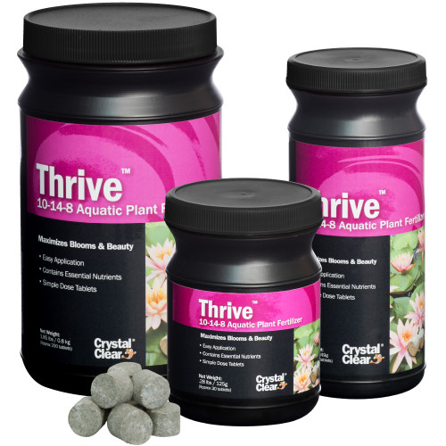 CrystalClear Thrive