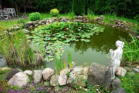 How to Treat and Control Pond Algae