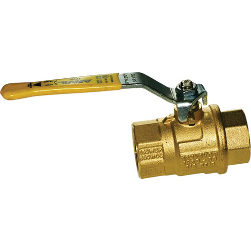 Anvil Brass Ball Valves, 1 Female Pipe Thread - BV105