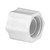 1/2" Tube O.D., Cap Nut Molded Compression Tube Fittings - 1529X8 1/2"