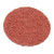 2" 36 Grit Cubitron II Roloc Abrasive Disc 2"