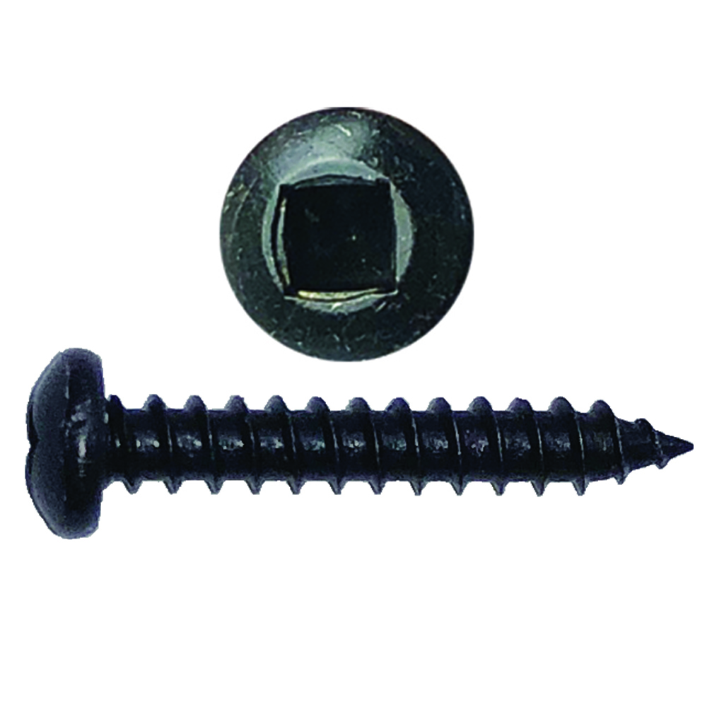 Clutch Head - Round Head Self Tapping Screw - Stainless Steel  A2 14x1 100pack