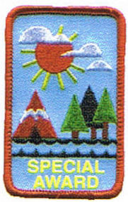 Special Award Embroidered Patch
