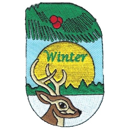 Winter Activity Embroidered Patch