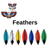 Feathers for the Feather Award