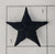Black 1" Star