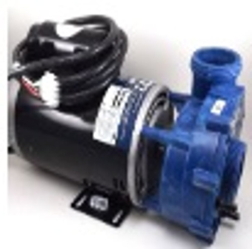 Dynasty 15557 pump