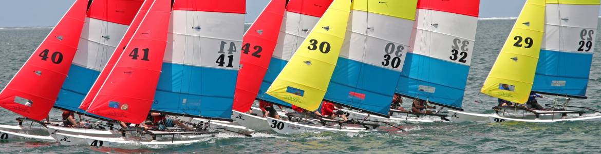 hobie-sail-banner.jpg