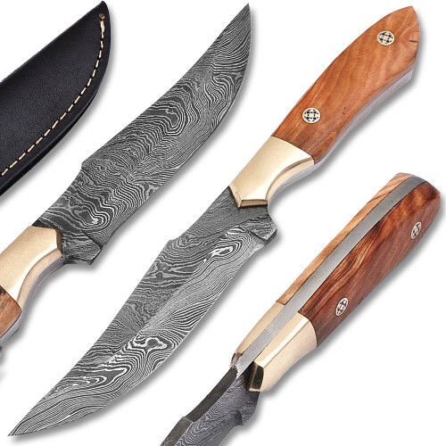  White Deer Damascus Steel Olive Wood Skiner Knife Brace Bolster