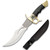 BLACK WIDOW Venom Bowie Knife Gold Guard Fixed Blade Ceremonial Brass Adorned 13.75in
