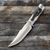 Decorative Fixed Blade Knife with Engraved Silver Handle Accents