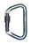 Large Stainless Locking D