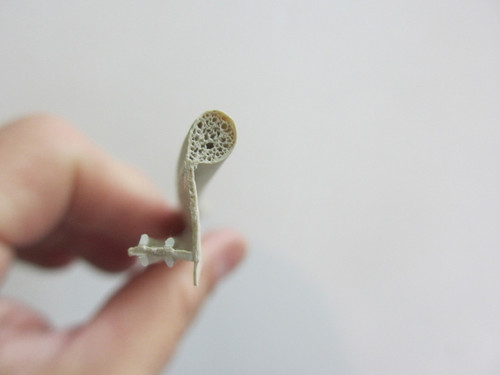 LINCOLN FRAME W-STRIP KIT (EACH KIT COMES WITH QTY (4) 72'' LONG PIECES) OF 176324 FRAME WEATHER STRIP FOR CLAD EXTERIOR WINDOWS  UNITS FROM MARCH 2002 TO PRESENT