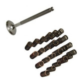 Valves, Guides and Springs