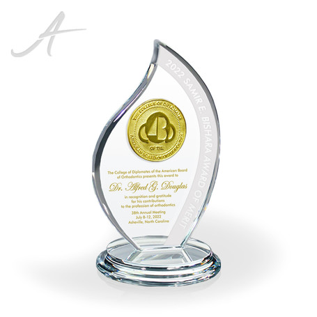 G07. Custom Glass Award with Medallion