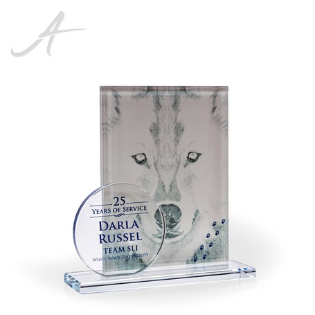 Verve Clear Circle Glass Award - UV Print