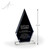 Sable Black & Clear Crystal Award height