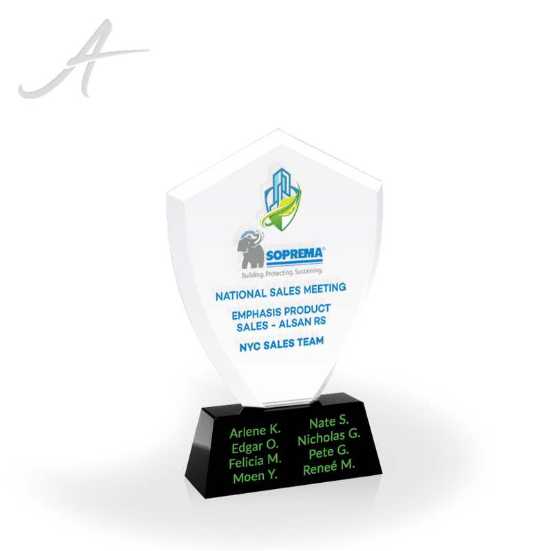 Denver UV Print Crystal Shield Award