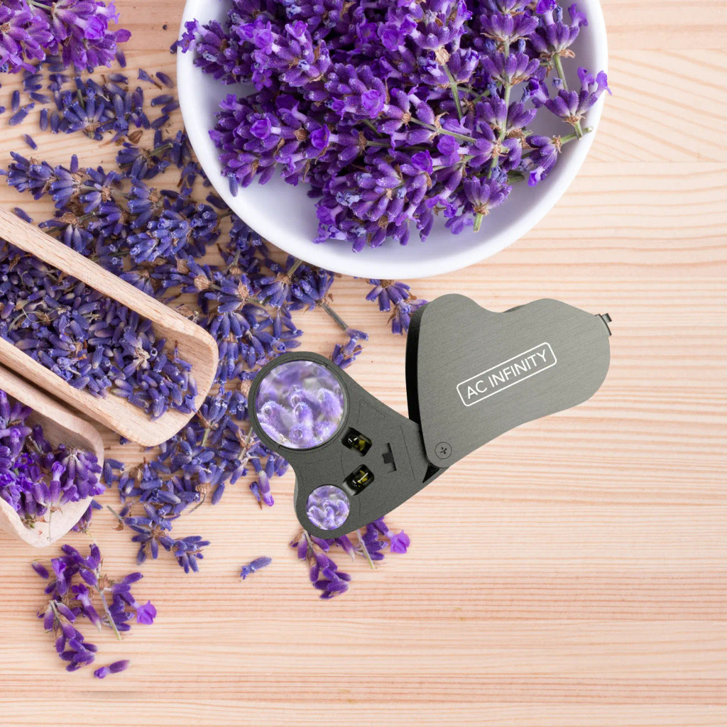 Juwelier-Lupe, Taschen-Vergrößerungsglas mit LED-Licht & Doppel-Linsen, 30x 60x Zoom für Schmuck, Uhren, Münzen, Briefmarken, Pflanzen-Buds