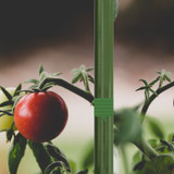 Grüne Kabelbinder mit integriertem Schneider, 100 m