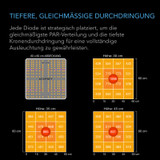 Vollspektrum LED Grow Light mit Samsung LM301H Dioden, maximale Lichtausbeute, für Wachstum und Blüte von Indoor-Pflanzen in Grow-Zelten und Gewächshäusern (60 x 60 cm)