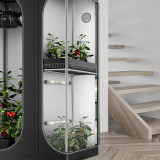 IONBEAM S11 – Vollspektrum LED Leiste (28 cm) mit Samsung LM301H EVO Dioden, 10-stufigem Dimmer & Timer – für Indoor-Grow, Gewächshaus, Vegetative und Blütephase