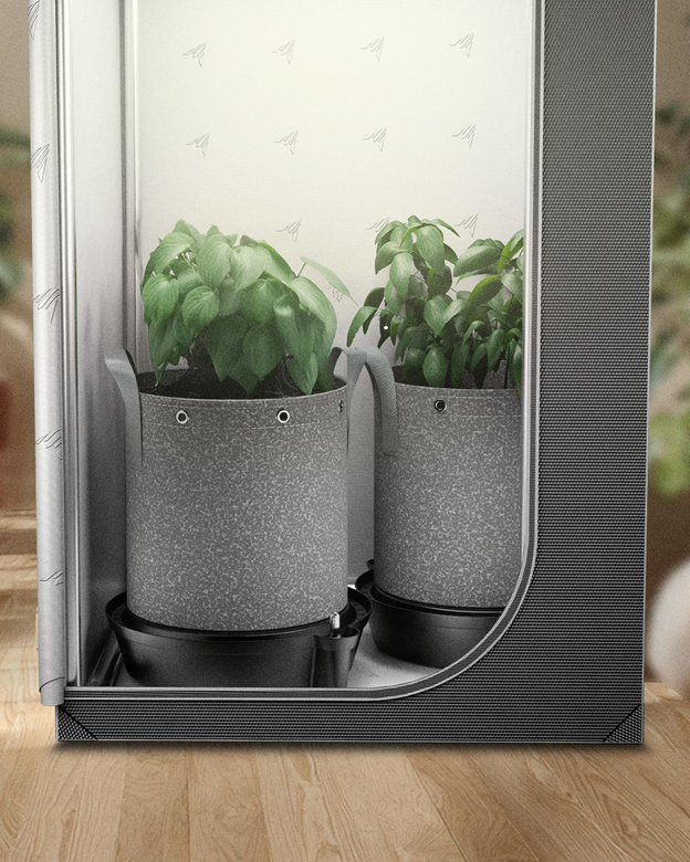 Zimmerpflanzen im Innenbereich