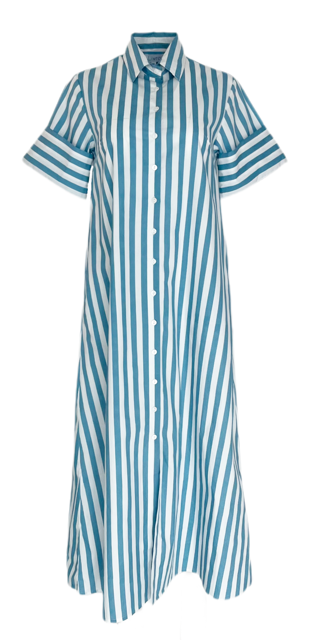 Livro Gibbons Dress, Blue Stripes - Monkee's of Mount Pleasant