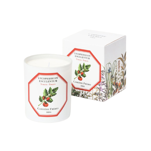 Carriere Freres Scented Candle, Tomato- Lycopersicon Esculentum 