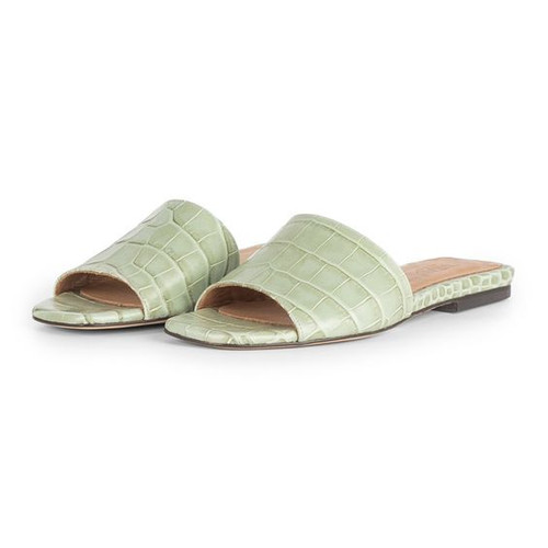 Toral Santiago Slides, Sage