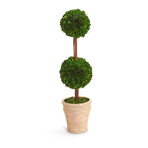 Astor Boxwood Topiary, Double