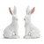 Two's Company Hoppy Spring Basket Weave Bunny Set, White