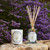 Carriere Freres Diffuser, Lavender 