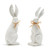 Hare Comes Easter Bunny Set of 2, White